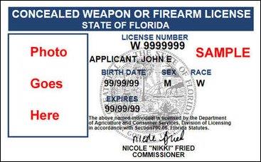 florida permit picture